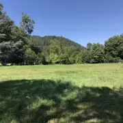 Vente Terrain ZI / ZA - Pouzac (65200)
