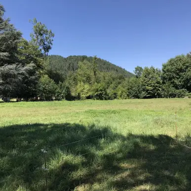 Vente Terrain ZI / ZA - Pouzac (65200)-photo-1