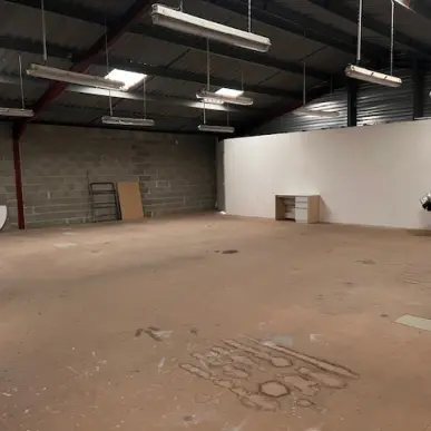 Vente Entrepôt / Local d'activités - Aureilhan (65800)-photo-2