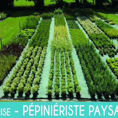 Vente - Jardinerie - Mouilleron-le-Captif (85000)-photo-2
