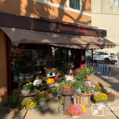 Vente - Fleuriste - Martigues (13500)-photo-5
