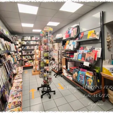 Vente - FDJ - Fleuriste - Loto - Presse - Blet (18350)-photo-7