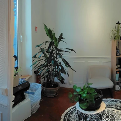 Vente - Institut de beauté - Seine-Port (77240)-photo-2