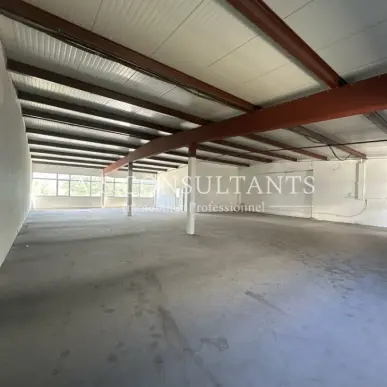Location Entrepôt / Local d'activités - Cran-Gevrier (74960)-photo-1