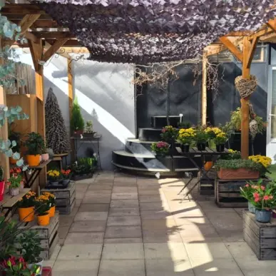 Vente - Fleuriste - Puy-de-Dôme (63)-photo-4