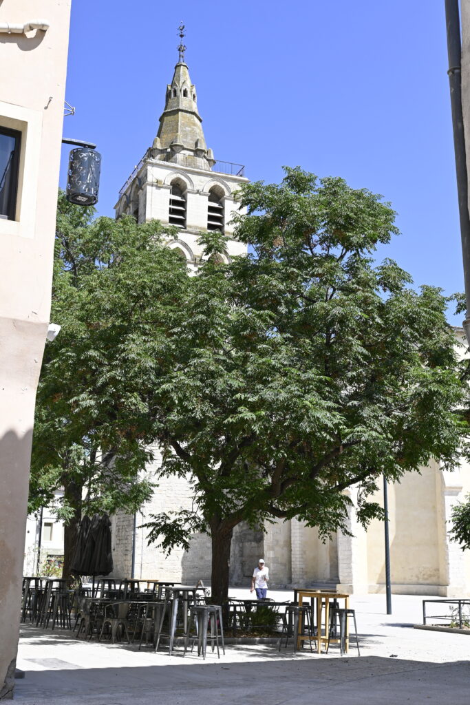 Ville de Lunel Place des Martyrs de la résistance